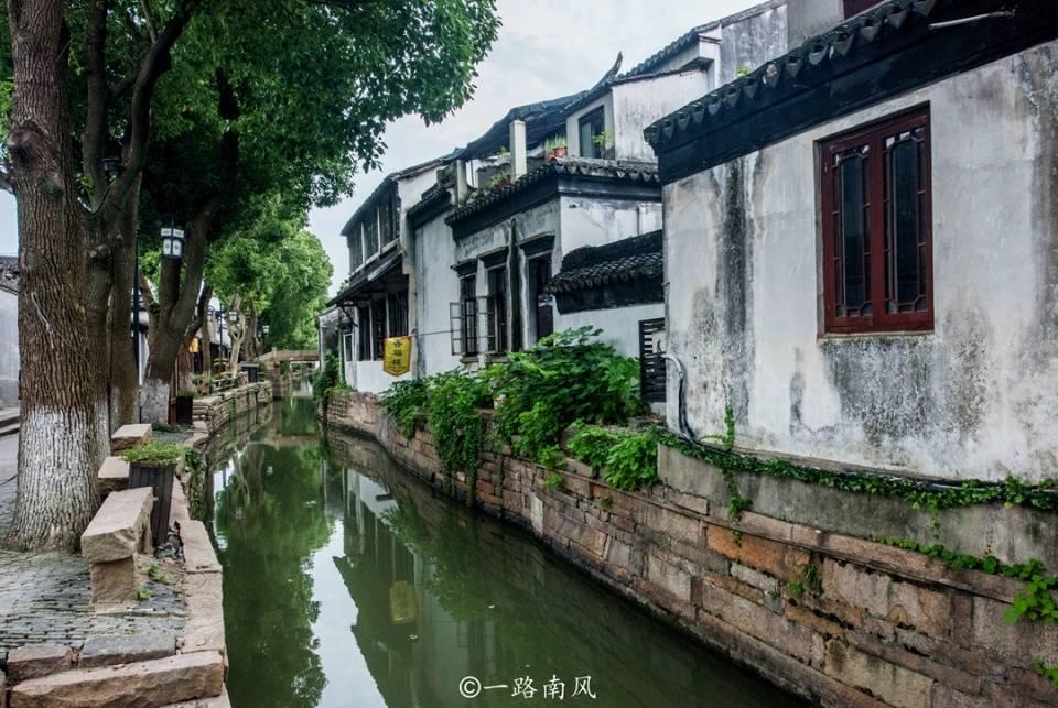 ST天成（600112）被立案，股民索赔分析